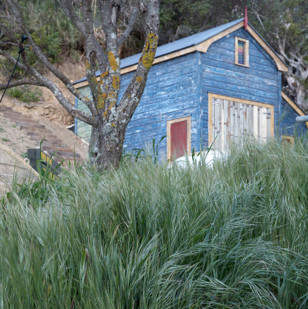 Pacific Light – Beach Front Shed